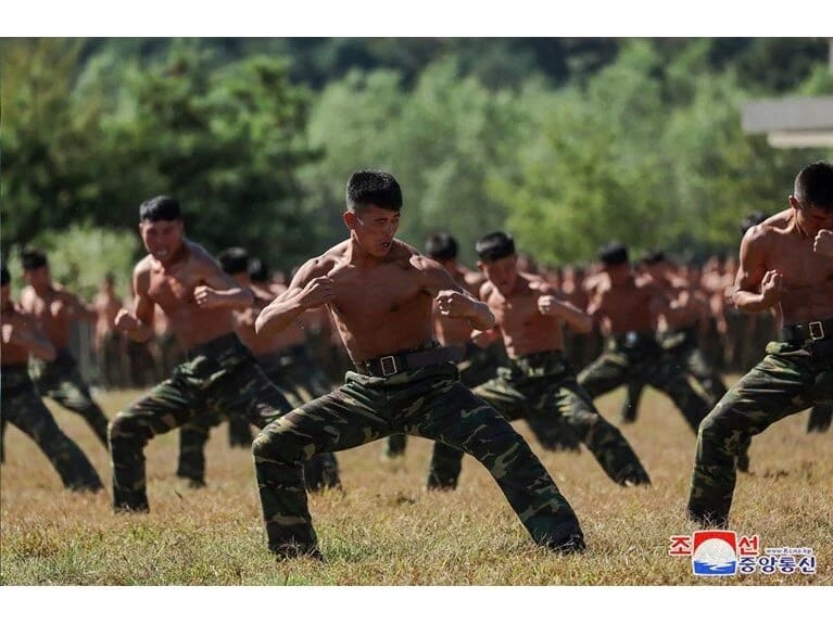 Şimali Koreya əsgərləri ətçəkən maşına atılır: Rusiya qoşunlarında itkilər 40 faizə çatıb 