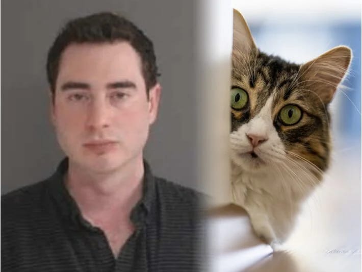 Sürət həddini aşan sürücü cərimədən xilas ola bilmədi