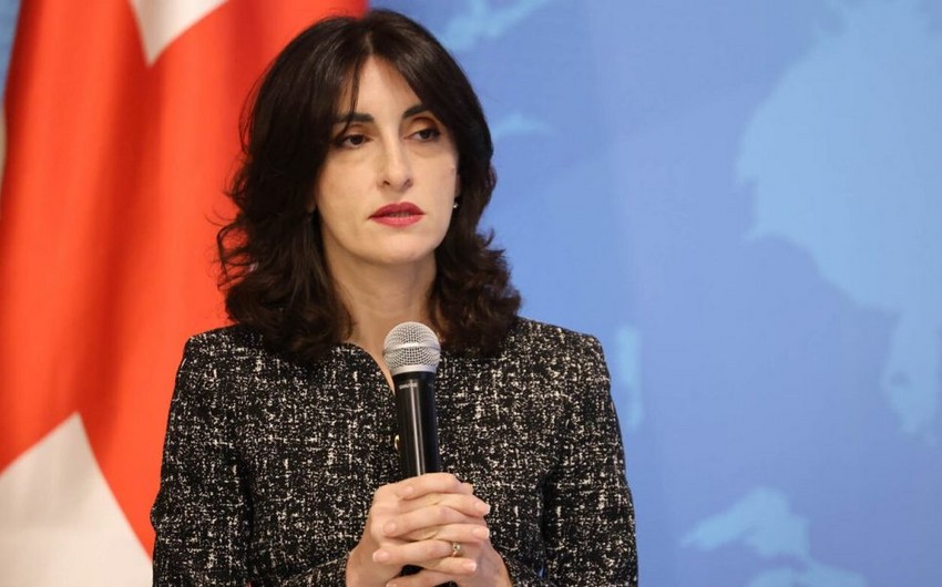 Gürcüstanın xarici işlər naziri Ermənistanda səfərdədir