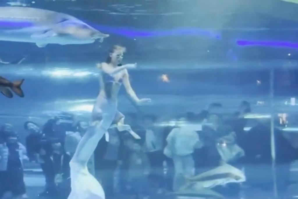 Akvariumda dəhşət: Nəhəng balıq su pərisini dişlədi - VİDEO