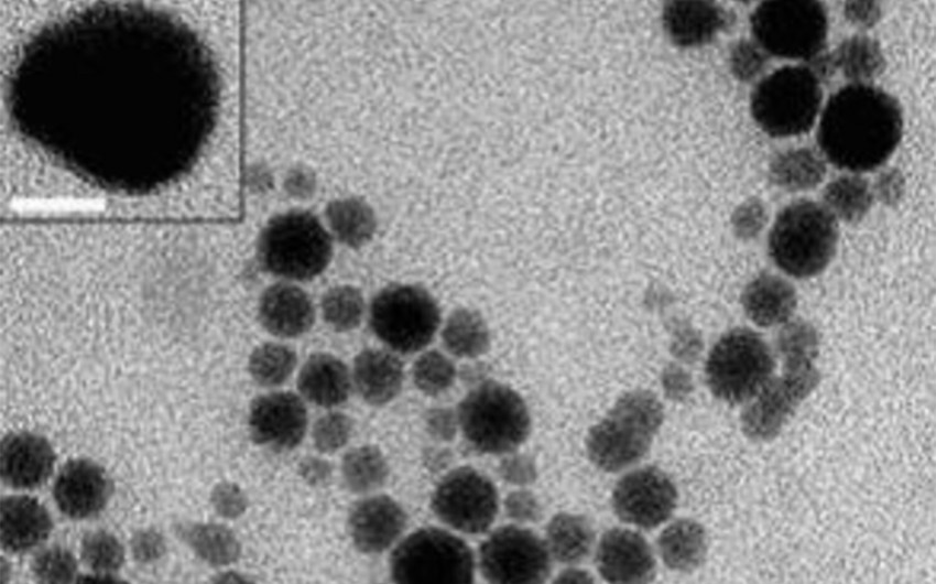 Alimlər melanomanın müalicəsi üçün gümüş plastr yaradıblar