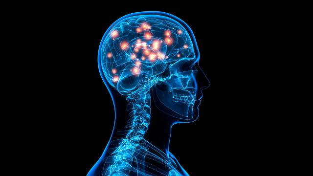 İnsan beynində yığılan plastik komponentlərin artması müşahidə edilib