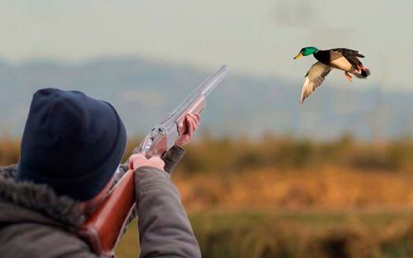 Qırmızıkənd ovçuluq təsərrüfatının ərazisində qanunsuz ova cəhd edən şəxs saxlanılıb