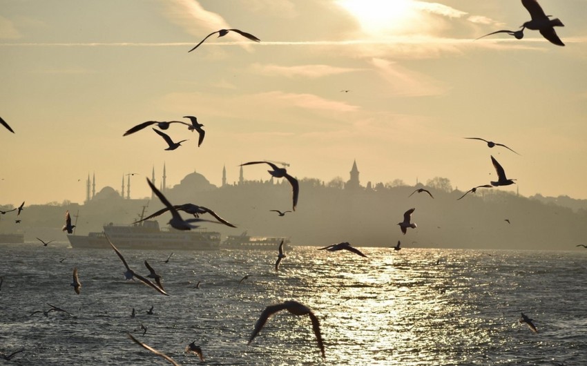 Bosfor boğazında gəmilərin keçidi müvəqqəti dayandırılıb