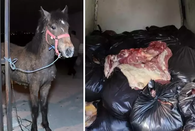 Kolbasa və sosisə at və uzunqulaq ətini qarışdırıb insanlara satdılar - FOTO