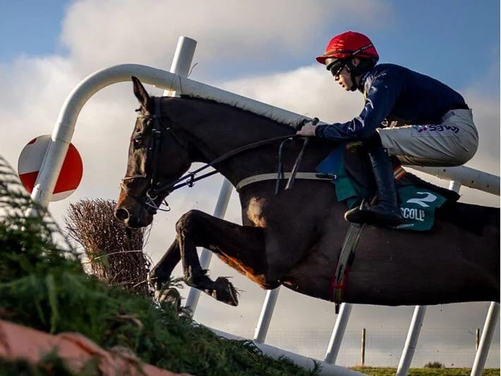 İrlandiyalı jokey yarış zamanı yıxılaraq ölüb