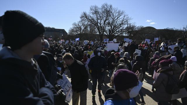 Tramp administrasiyası və Elon Mask ABŞ paytaxtında etiraz aksiyası keçirib