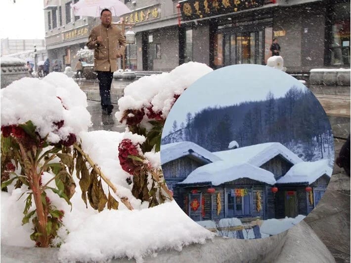 Kurort kəndində saxta qar qalmaqalı: Mənim zəkamı təhqir etdilər 