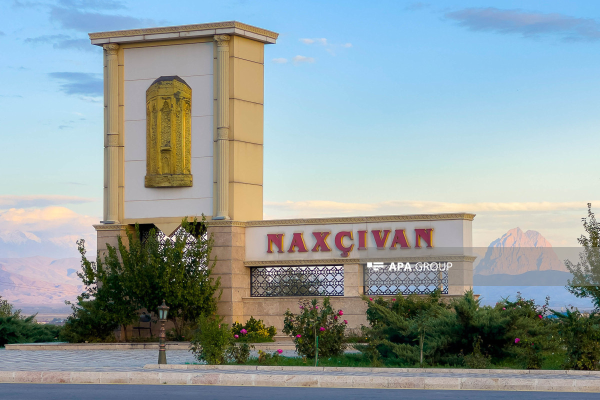 Naxçıvanın Dövlət Vergi Xidmətinin rəisi vəzifəsindən azad edilib