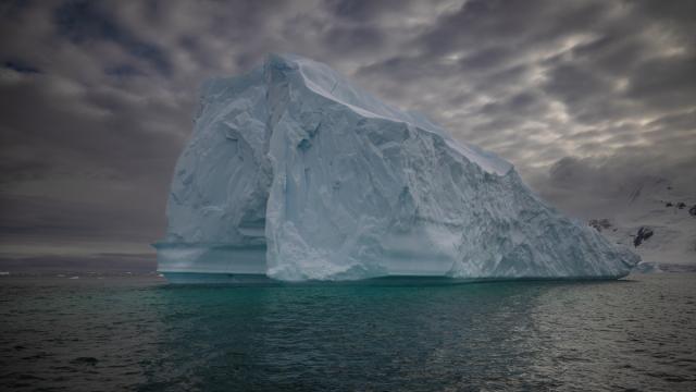 Buzlaqlarda qlobal həyəcan: Son 10 ildə itki 36 faiz artıb