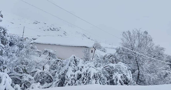 Axşamdan bu qışın ən uzunmüddətli soyuq dövrü başlayacaq - RƏSMİ