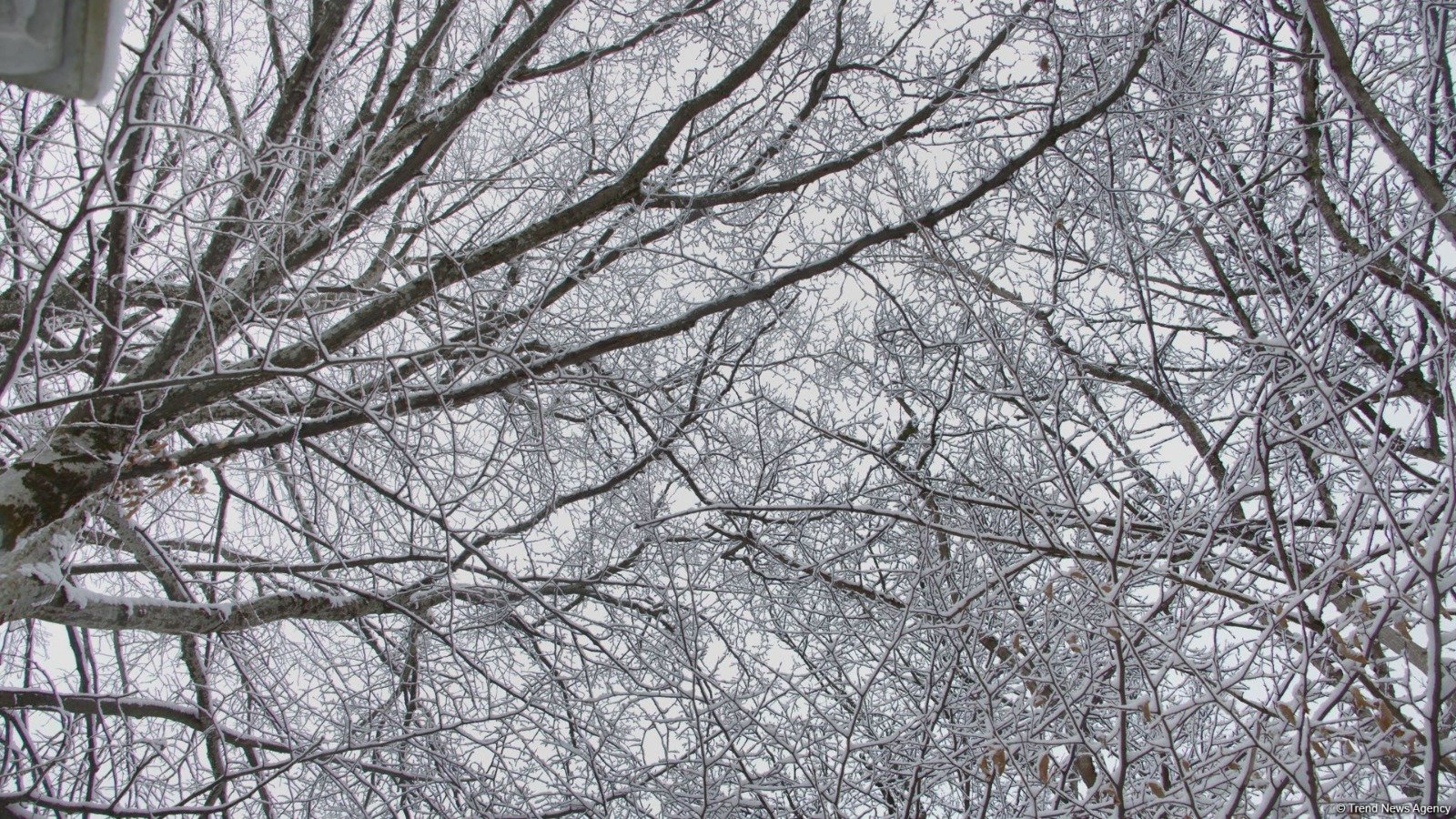 Sabah da qar yağacaq