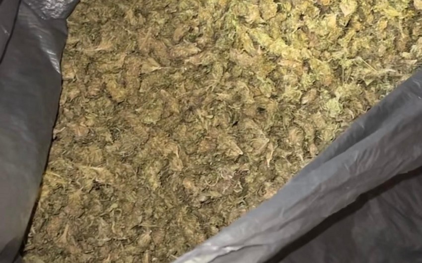 Lerikdə narkokuryerlikdə şübhəli bilinən şəxs saxlanılıb, ondan 10 kiloqram marixuana aşkarlanıb