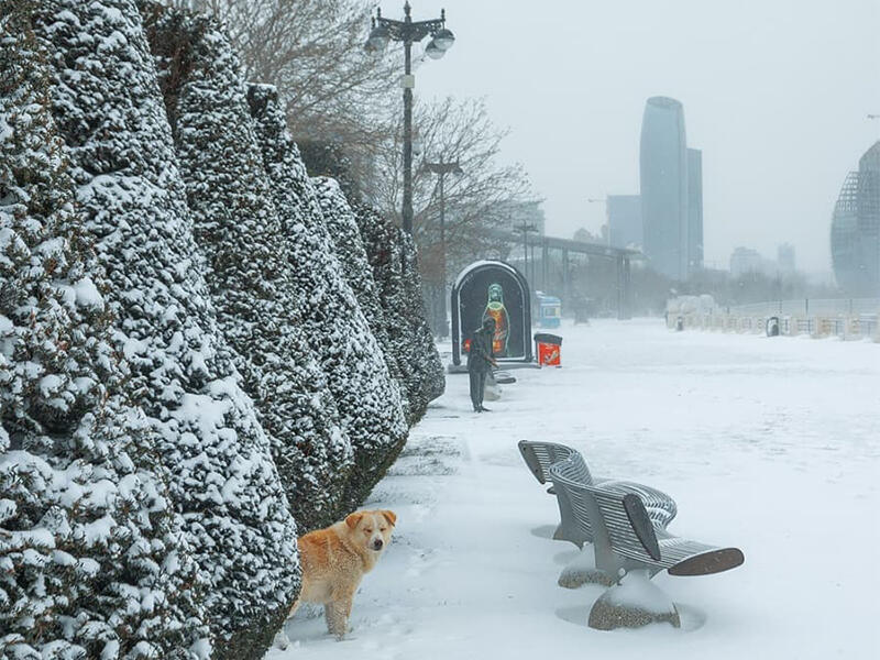 Bakıya bu tarixdə yenə qar yağacaq - XƏBƏRDARLIQ
