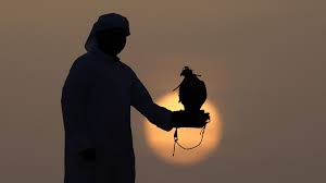 Ölkə ərazisində qanunsuz ov edən ərəblər SAXLANILDILAR