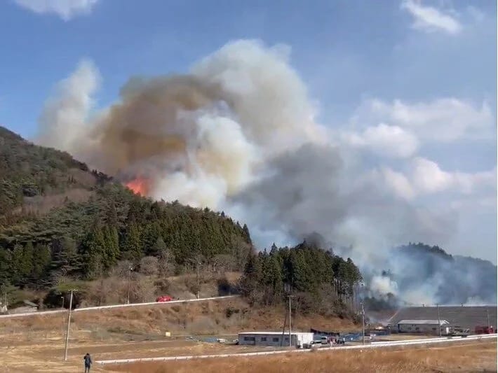 Yaponiyada 5 gündə təxminən 1800 hektar ərazi yanıb