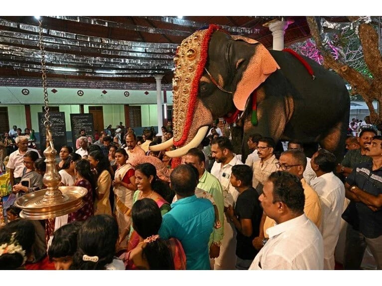 Hindistanda robot fillərlə ritual keçiriləcək