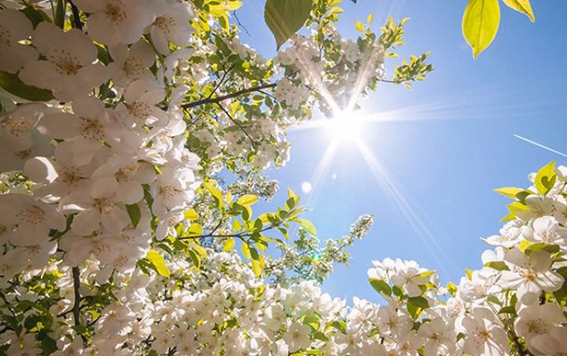 Sabah Bakıda 17 dərəcə isti olacaq