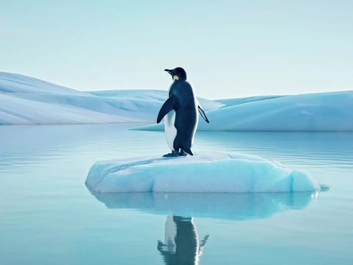 Okeanın buz örtüyü əriyir: Buz səviyyəsində rekord azalma