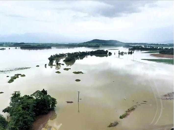 Tropik Alfred siklonu səbəbindən Avstraliyada məktəblər bağlanıb