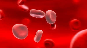 Bədəndə dəmir çatışmazlığının əlamətləri hansılardır?