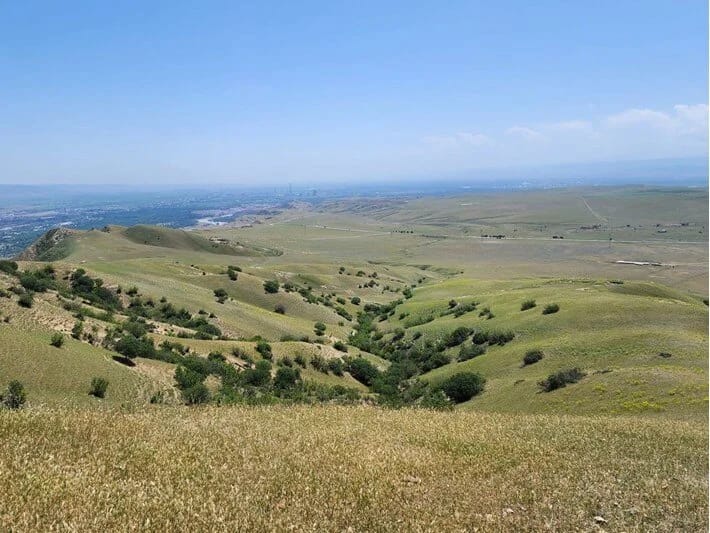 Üç ildir vəhşi təbiətdə itkin düşüblər! Ata və uşaqların axtarışları davam edir