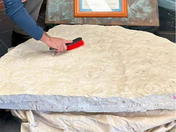 Məktəbin həyətində 200 milyon illik kəşf: 66 dinozavr ayaq izi tapıldı 