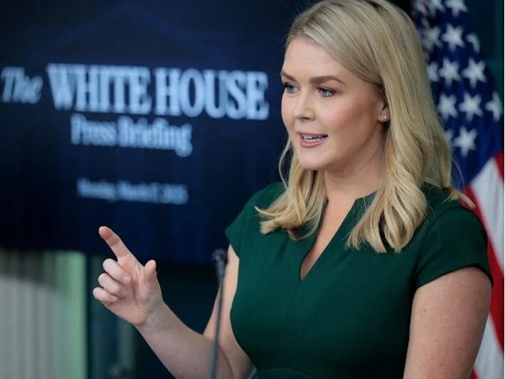 Azadlıq heykəlini istəyən Fransaya: Biz olmasaydıq, almanca danışardınız