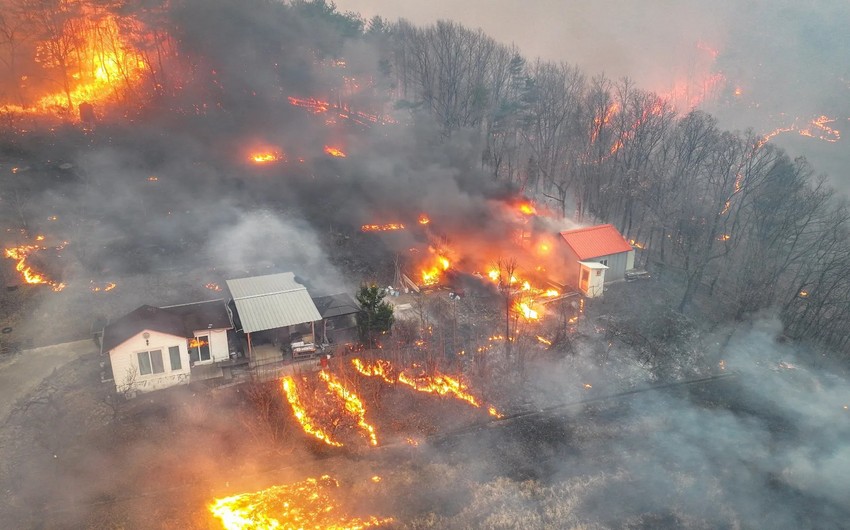 Cənubi Koreyada meşə yanğınları nəticəsində ölənlərin sayı 26 nəfərə çatıb
