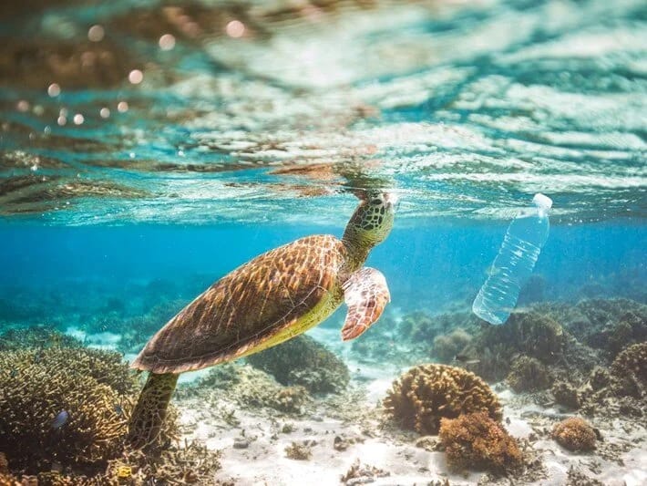 Okeanlar üçün 2030 proqnozu: 602 min ton tullantı