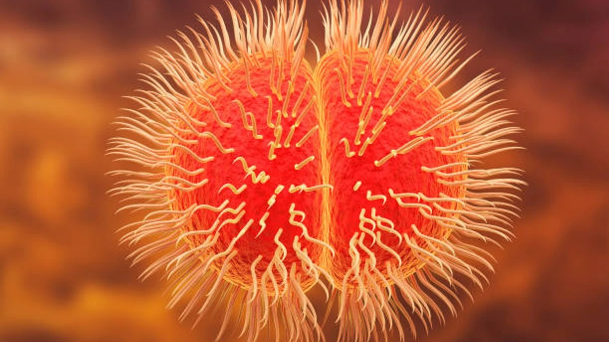 Monqolustanda bu il ikinci meningit hadisəsi qeydə alındı