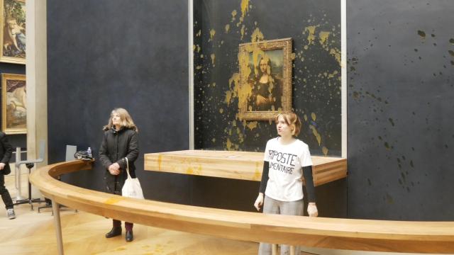 Böyük Britaniyanın ətraf mühit qrupu artıq məşhur rəsmlərə şorba atmayacaq