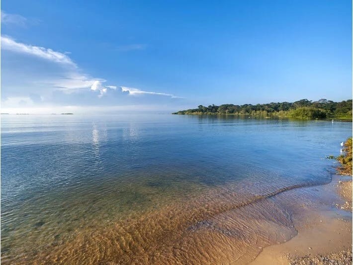 Viktoriya gölü yaşıllaşır