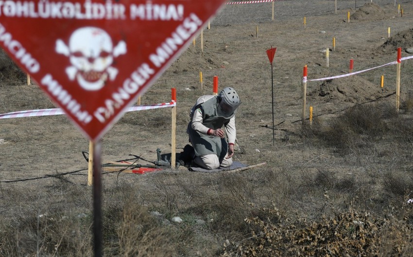 Bu gün Beynəlxalq Mina Xəbərdarlığı və Minatəmizləmə Fəaliyyətinə Yardım Günüdür