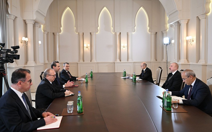 Prezident İlham Əliyev Türkiyənin enerji və təbii sərvətlər nazirini qəbul edib