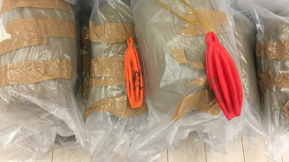 İstanbul Hava Limanında yarım tona yaxın narkotik ələ keçirilib