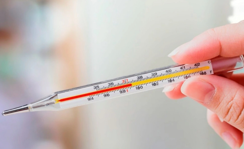 Göyçayda xəstəxanada vəfat edən gənc qızın ölüm səbəbi açıqlandı