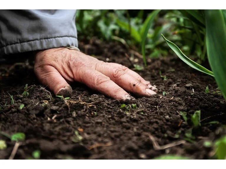 Elm adamları yerin dərinliklərində sirli yeni həyat formalarını kəşf ediblər