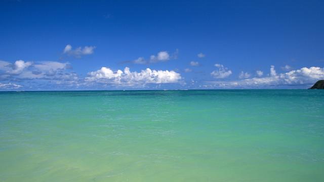 Alimlərin diqqətəlayiq araşdırması: Dünya okeanları bir vaxtlar yaşıl olub