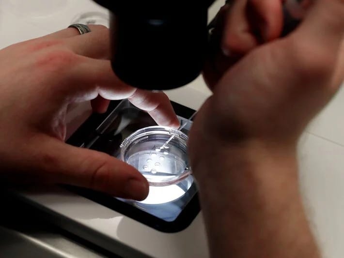 Embrionlar qarışdı, başqa qadının körpəsini dünyaya gətirdi