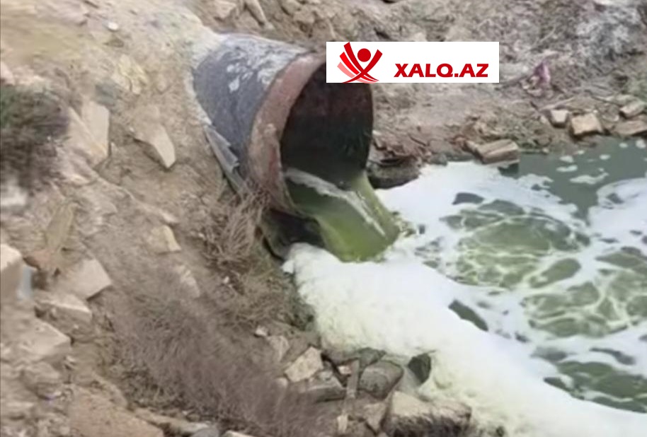 Masazır duz gölündə antisanitariya - Kanalizasiya birbaşa gölə axıdılır-Video