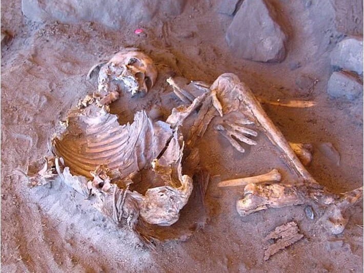 Yeni mumiya kəşfi aşkar edir: Bəşəriyyətin nəsil ağacı dəyişir
