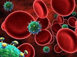 Alimlər süd vəzi xərçənginin müalicəsini tapdı