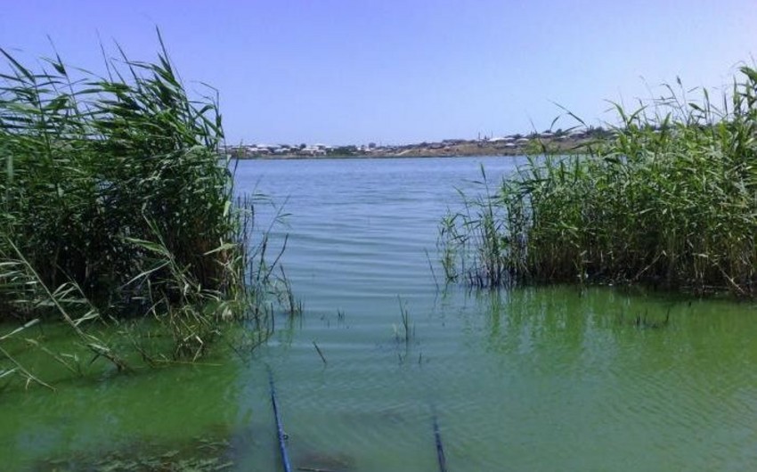 Xaçmazda yeniyetmə bataqlığa düşüb