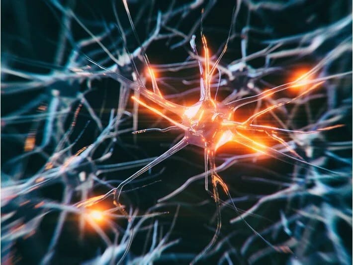 Alzheimer diaqnozunda yeni dövr: Erkən diaqnoz qan testi ilə mümkündür