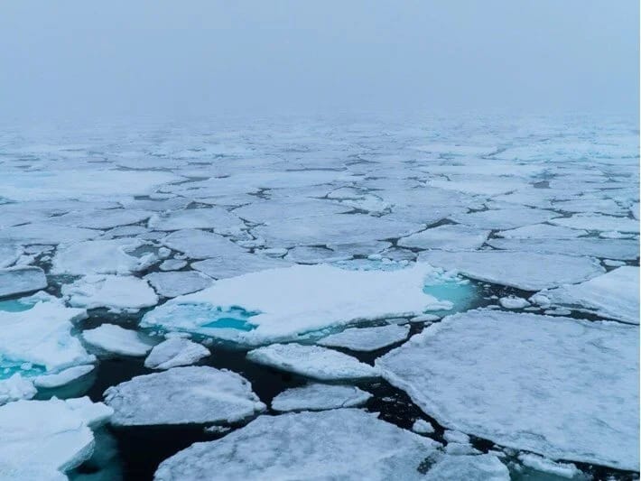 Arktika buz örtüyü həyəcan yaradır: 40 ilin ən aşağı səviyyəsində 