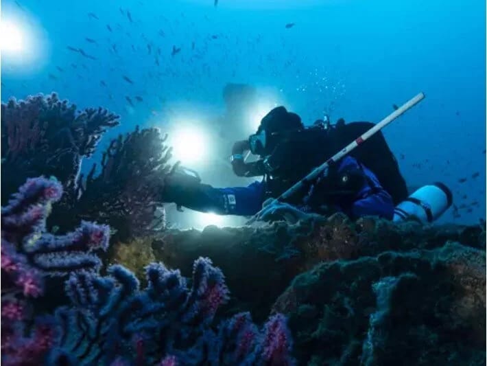 Möcüzə kəşf: Alimlər su altında bioloji xəzinə sandığı tapdılar