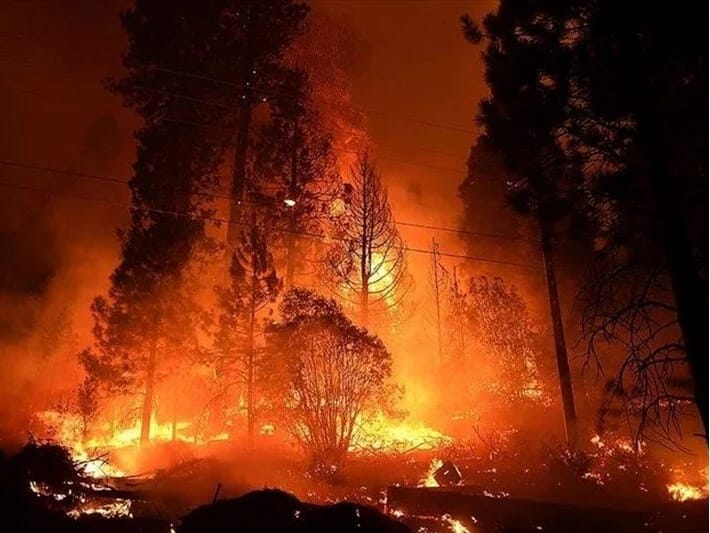 ABŞ-da meşə yanğınları: 3000 insan təxliyə edilib
