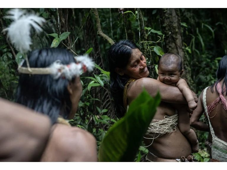 Ekvadorda son əlaqə quran qəbilə: Müqəddəs ağacların kölgəsi altında müasirliyə müqavimət göstərmək