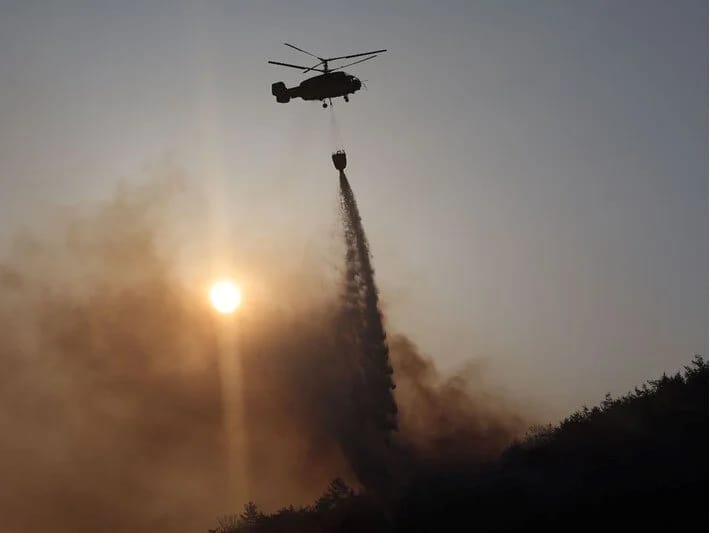 Cənubi Koreyada meşə yanğını: Alovlar böyüyür, evakuasiya qərarı verildi